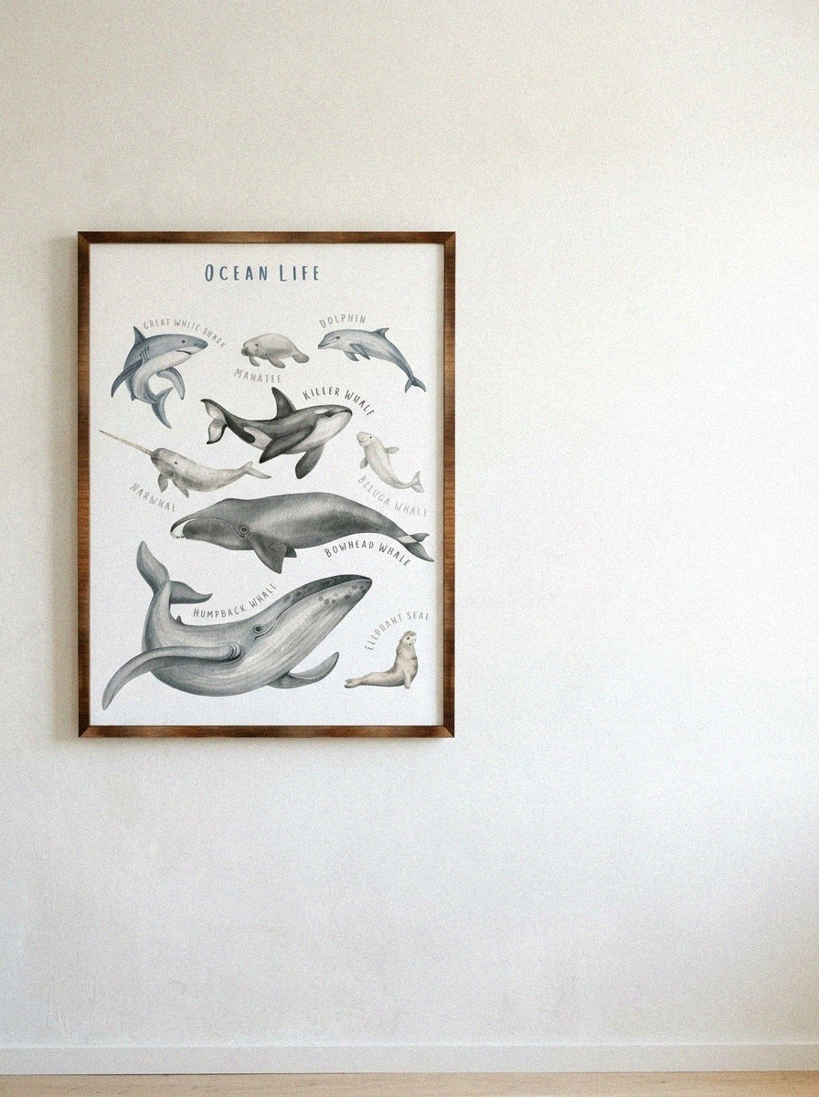 Ocean Animals Wooden Poster
