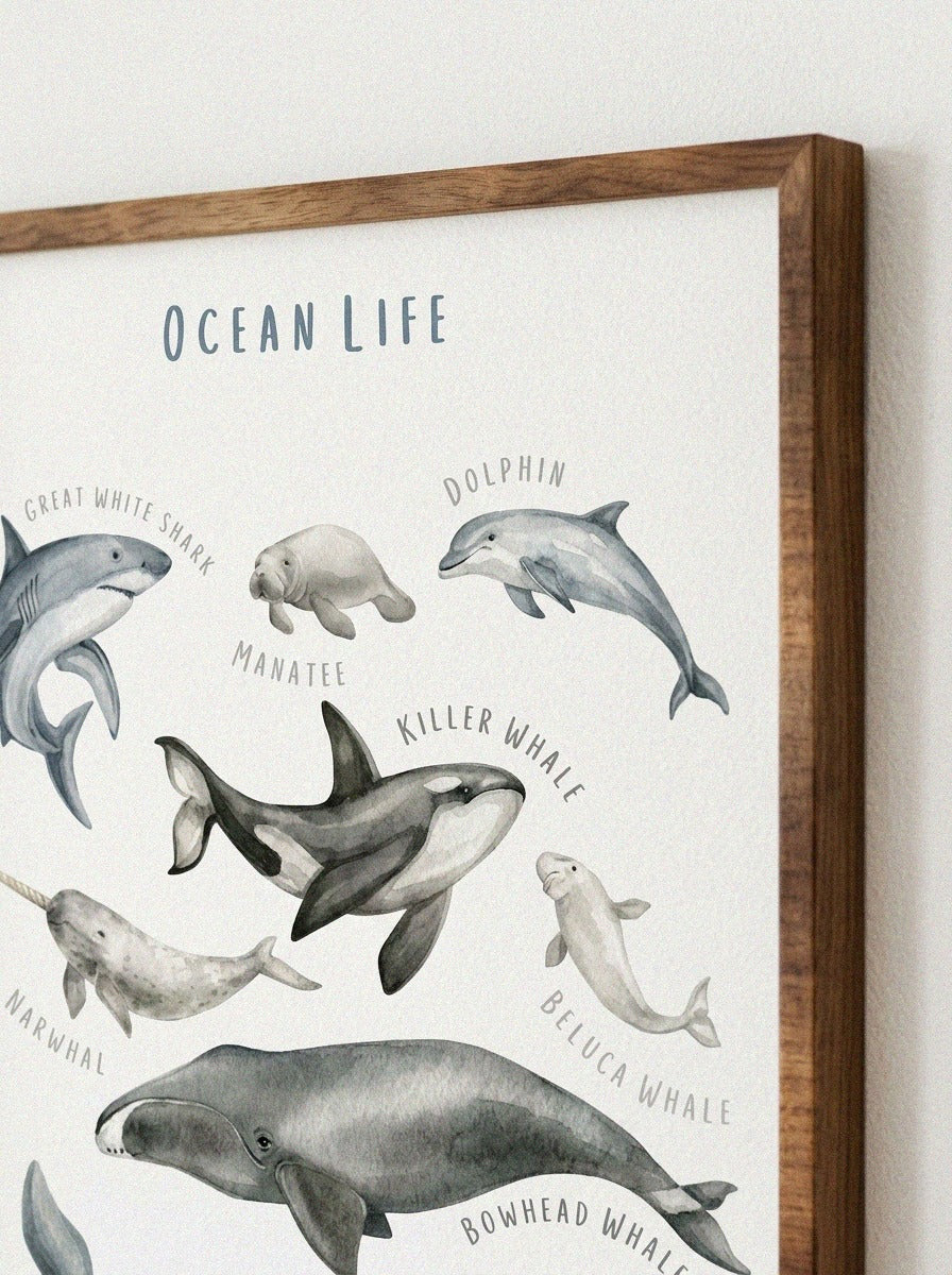 Ocean Animals Wooden Poster
