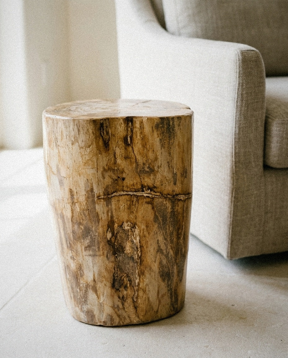 Close-up of Petrified Wood Pedestal showing material and construction