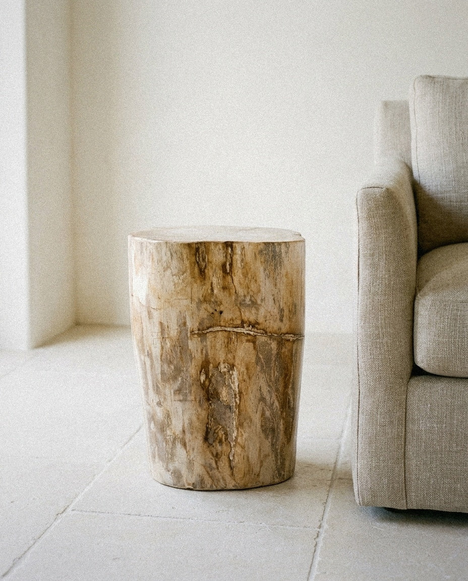 Petrified Wood Pedestal in a light organic modern interior