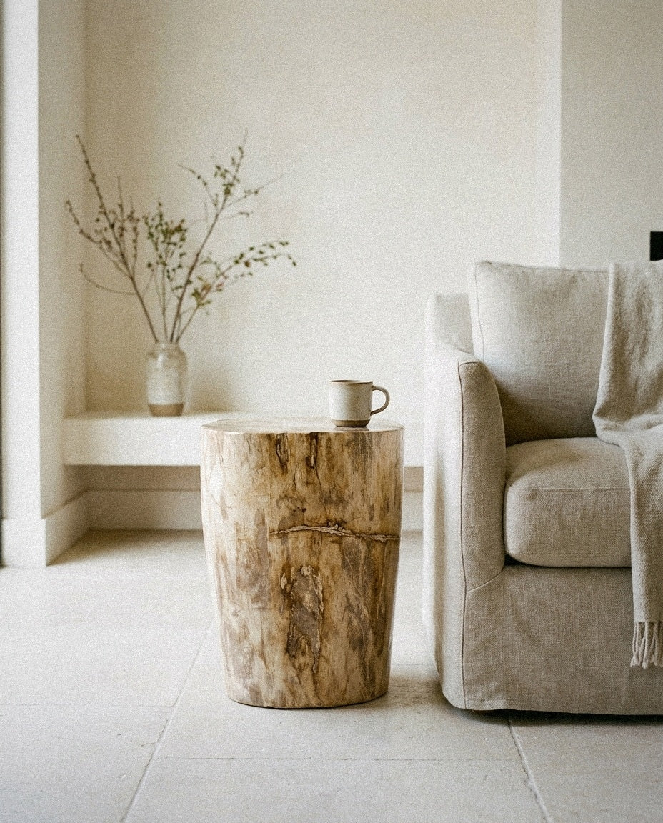 Petrified Wood Pedestal styled in a minimal, sunlit room