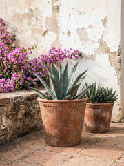 Rustic Terracotta Planter