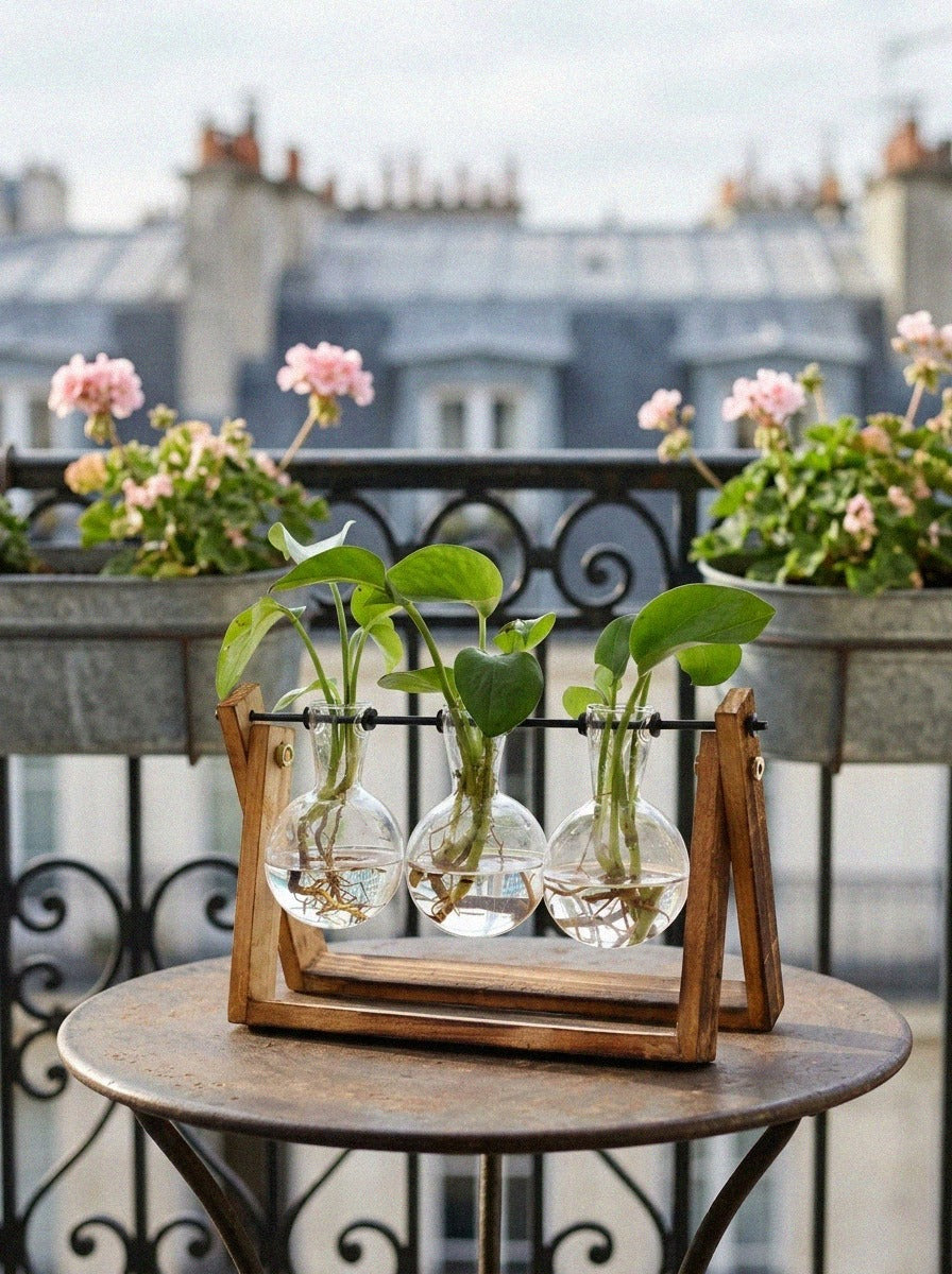 Terrarium Planter on Wooden Stand