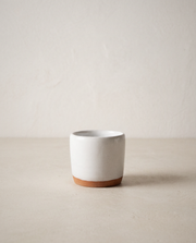 Salt Cellars in a bright organic modern interior