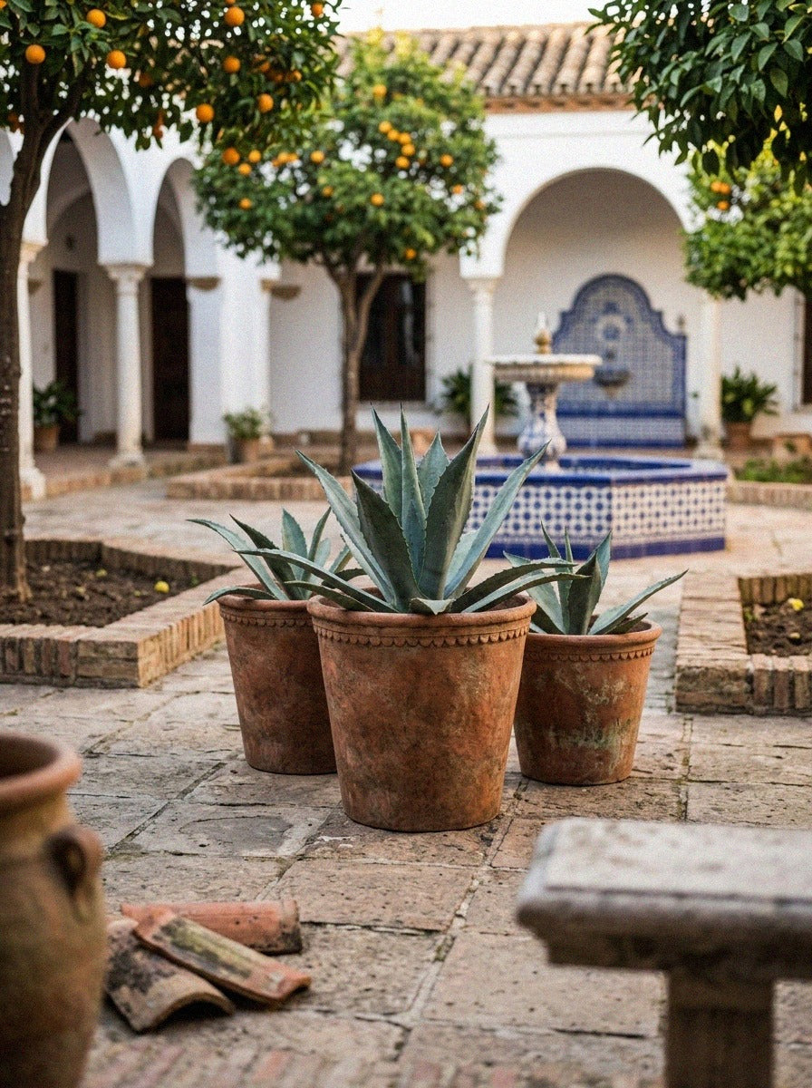 Rustic Terracotta Planter