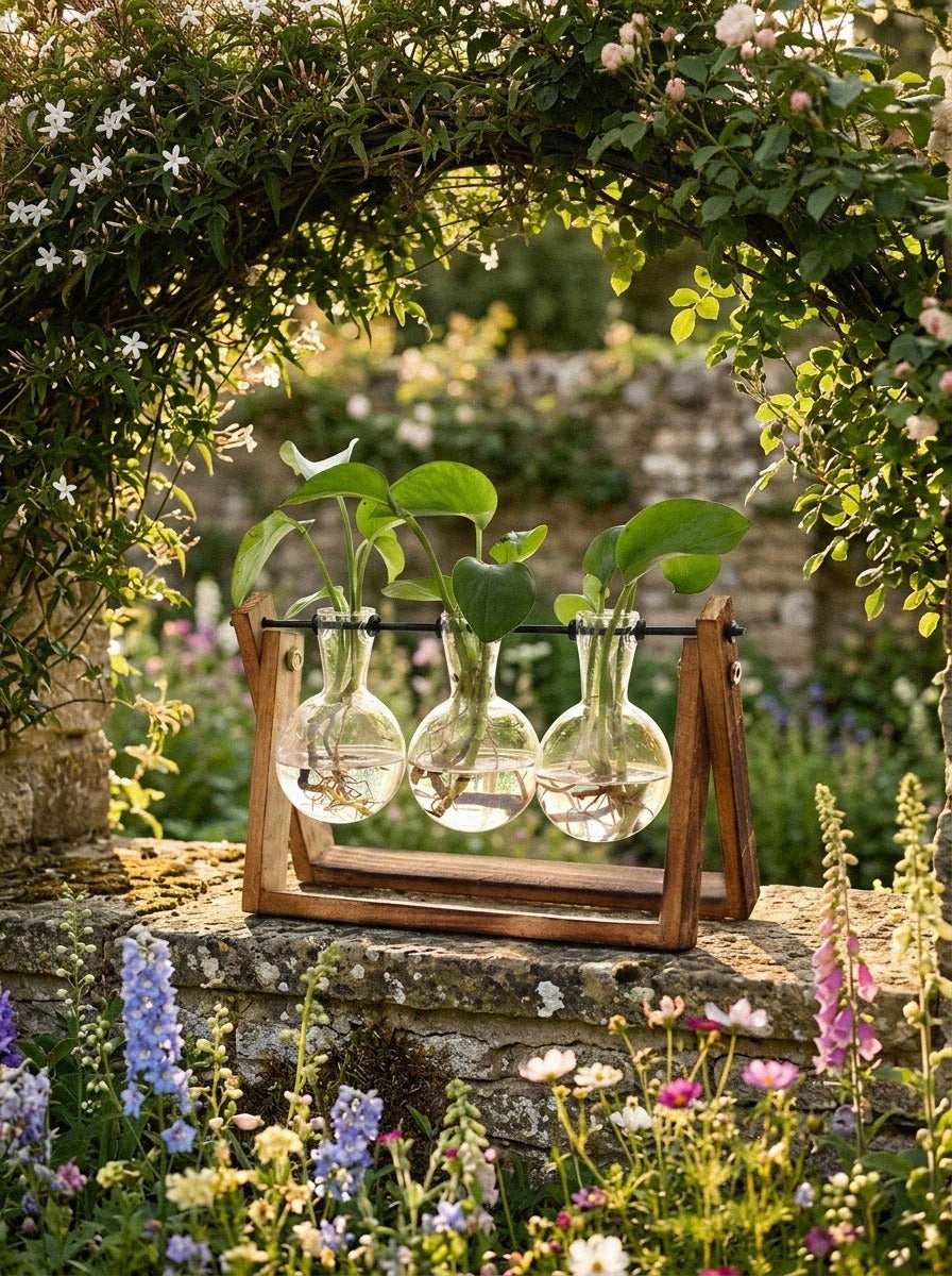 Terrarium Planter on Wooden Stand