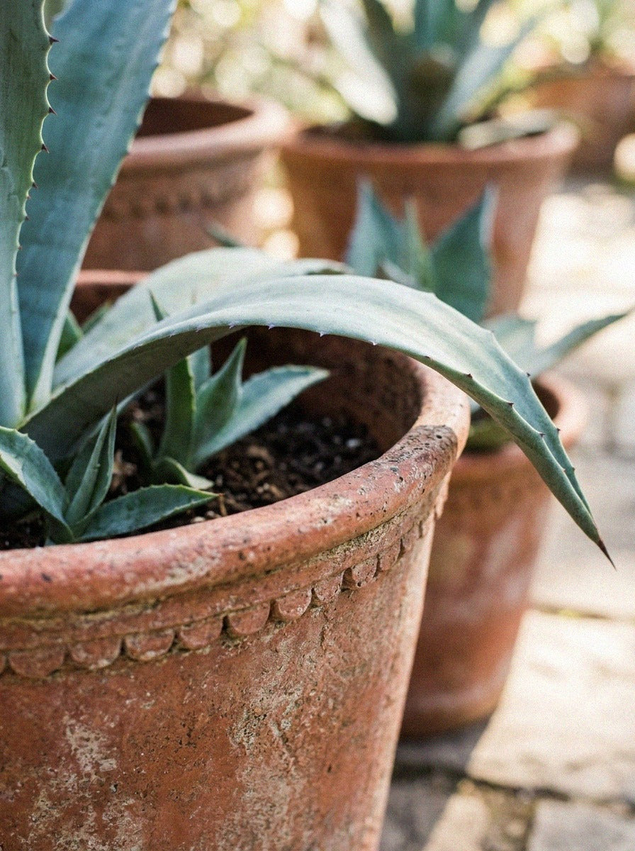 Rustic Terracotta Planter