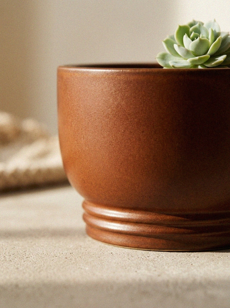 Flute Bonsai & Succulent Pot
