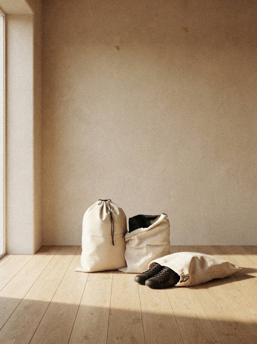 Purse & Shoe Storage Bags
